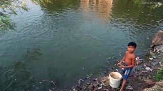 Amazing Fish: Every day this little village boy comes to feed his fish friends.