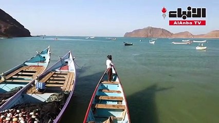 صيادون يمنيون يجنون ثروة بعد عثورهم على عنبر في جوف حوت