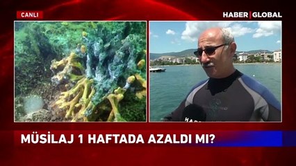 Bünyamin Sürmeli müsilaj için daldı