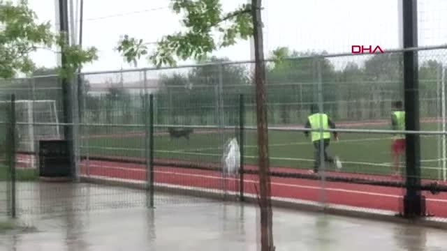 SPOR Maç oynanırken sahaya köpek girdi