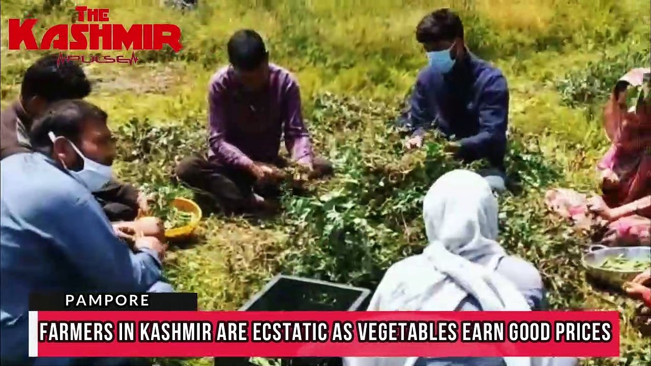 Farmers in Kashmir ecstatic as vegetables earn good prices