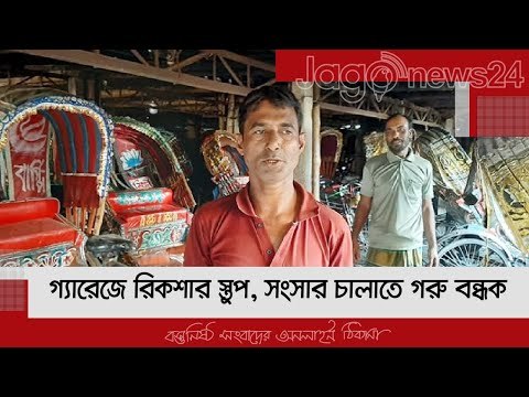 গ্যারেজে রিকশার স্তূপ, সংসার চালাতে গরু বন্ধক | Jagonews24.com