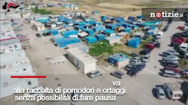 Foggia, braccianti sfruttati e costretti a lavorare senza pause: 7 arresti