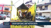 Maling Kambuhan Ditembak Polisi, 2 Ekor Sapi dan Motor Curian Disita