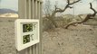 La ola de calor deja 54 grados en el Valle de la Muerte de California