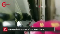 3 metrelik dev yılan böyle yakalandı