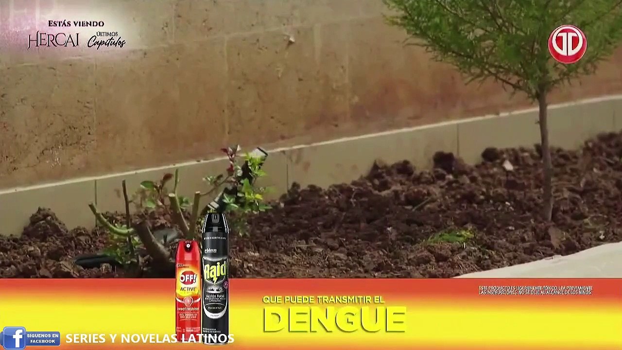 HERCAI CAPITULO 219 AUDIO LATINO