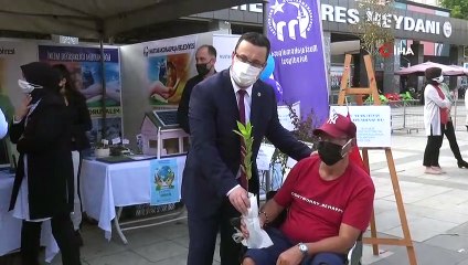 Dünya Çölleşme Gününde fidan dağıtıldı