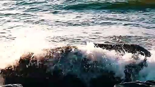 Serhat Durmus - Hislerim (ft. Zerrin)