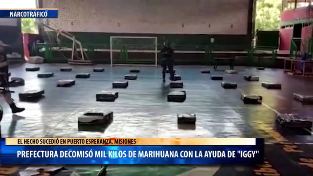 Prefectura decomisó mil kilos de marihuana con la ayuda de Iggy