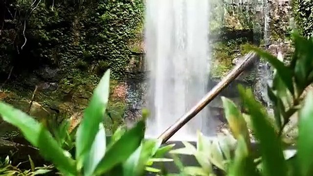 Relaxing Music with Beautiful Nature _ Meditation For Inner Peace _ Mindfulness meditation music