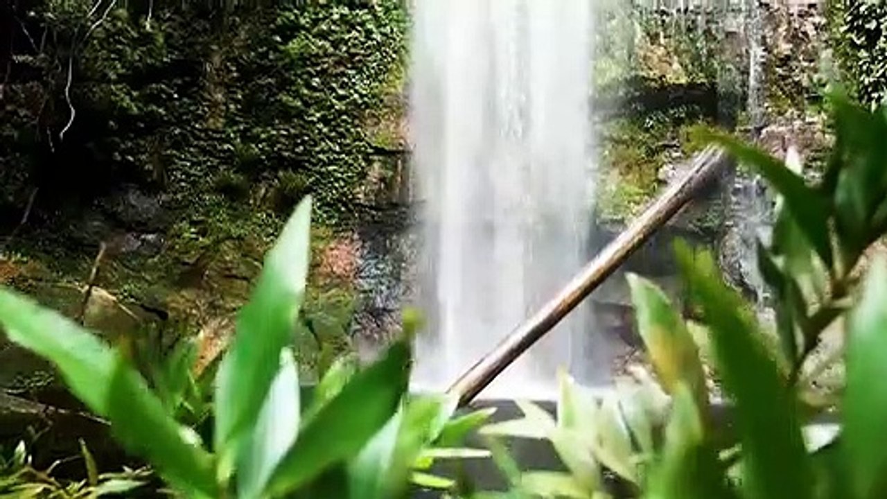 Relaxing Music with Beautiful Nature _ Meditation For Inner Peace  _ Mindfulness meditation music