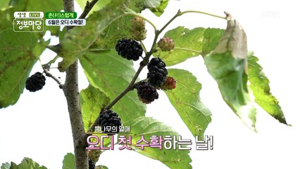 바쁘다 바빠~ 24시간이 부족한 농촌 생활