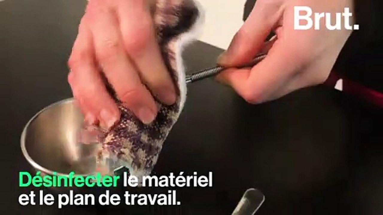 Comment faire soi-même un baume à lèvres zéro déchet