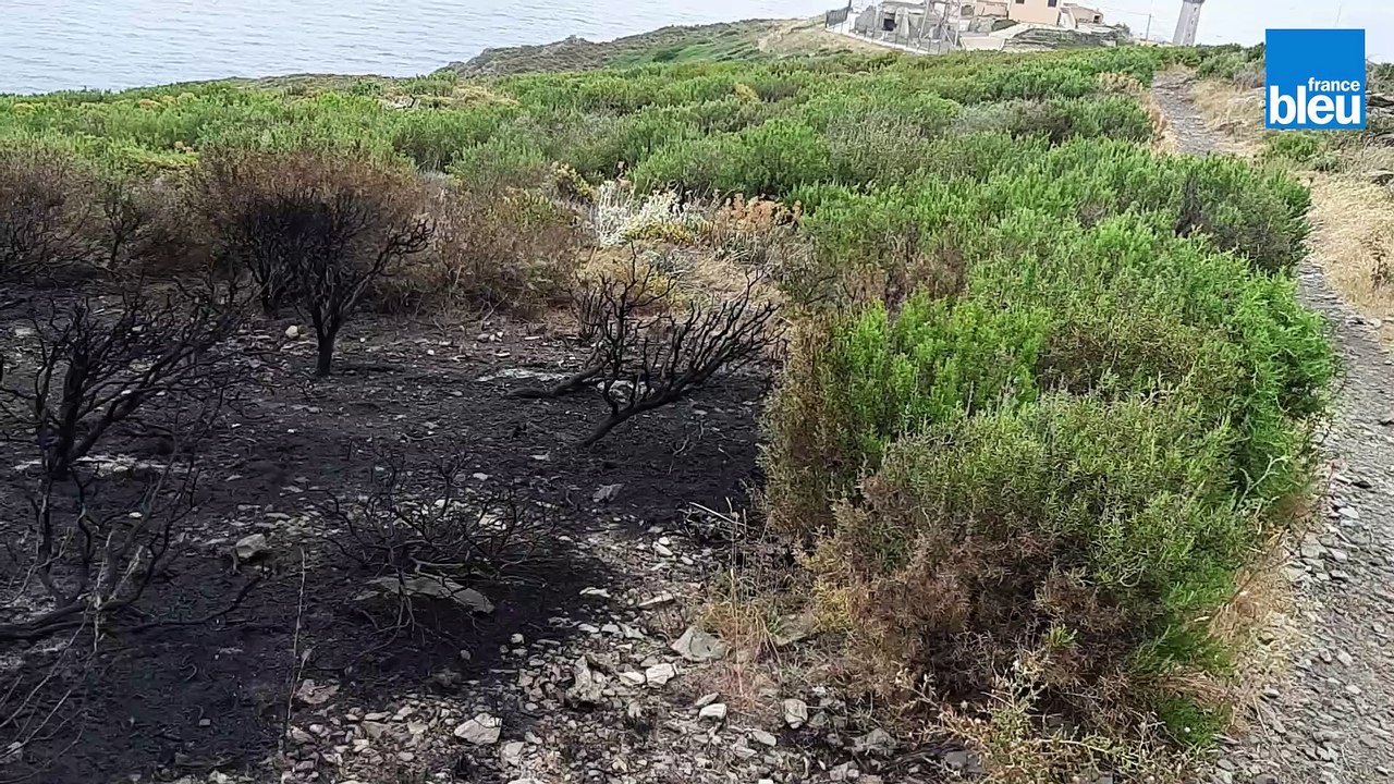 La désolation à Port-Vendres, paysage lunaire a...