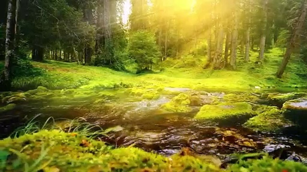 Relaxing Music Beautiful Piano Music, Nature, Sleep Music, My YouTube Relaxing & Meditation Music