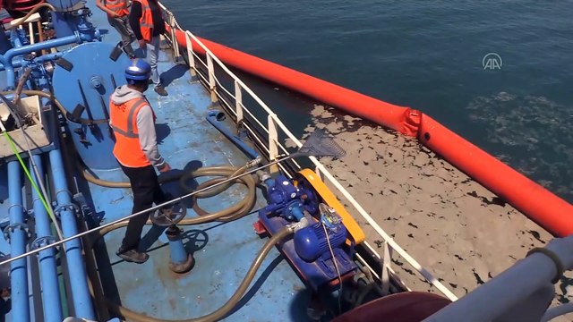 YALOVA - 9 günde 1478 metreküp müsilaj toplandı