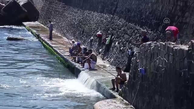 Ekonomik krizin derinleştiği Lübnan'da, olta balıkçılığı pek çok kişinin ekmek kapısı oldu