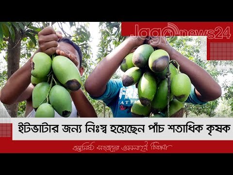 ইটভাটার জন্য নিঃস্ব হয়েছেন পাঁচ শতাধিক কৃষক | Jagonews24.com