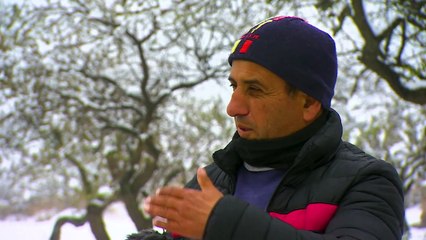 Nieve cubre provincia de Córdoba, por primera vez en 14 años