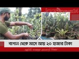 শখের ক্যাকটাস বাগান থেকে মাসে আয় ২০ হাজার টাকা | Jagonews24.com