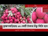 ব্রাহ্মণবাড়িয়ায় ১৫ কোটি টাকার লিচু বিক্রি হবে | Jagonews24.com