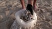 Israelí ha recogido cerca de un millón de colillas de cigarrillos en las playas de Tel Aviv