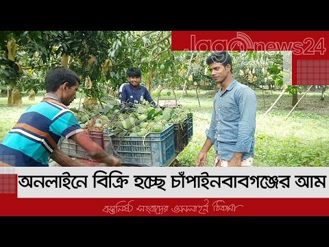 অনলাইনে বিক্রি হচ্ছে চাঁপাইনবাবগঞ্জের আম, ক্রেতাদের ব্যাপক সাড়া | Jagonews24.com