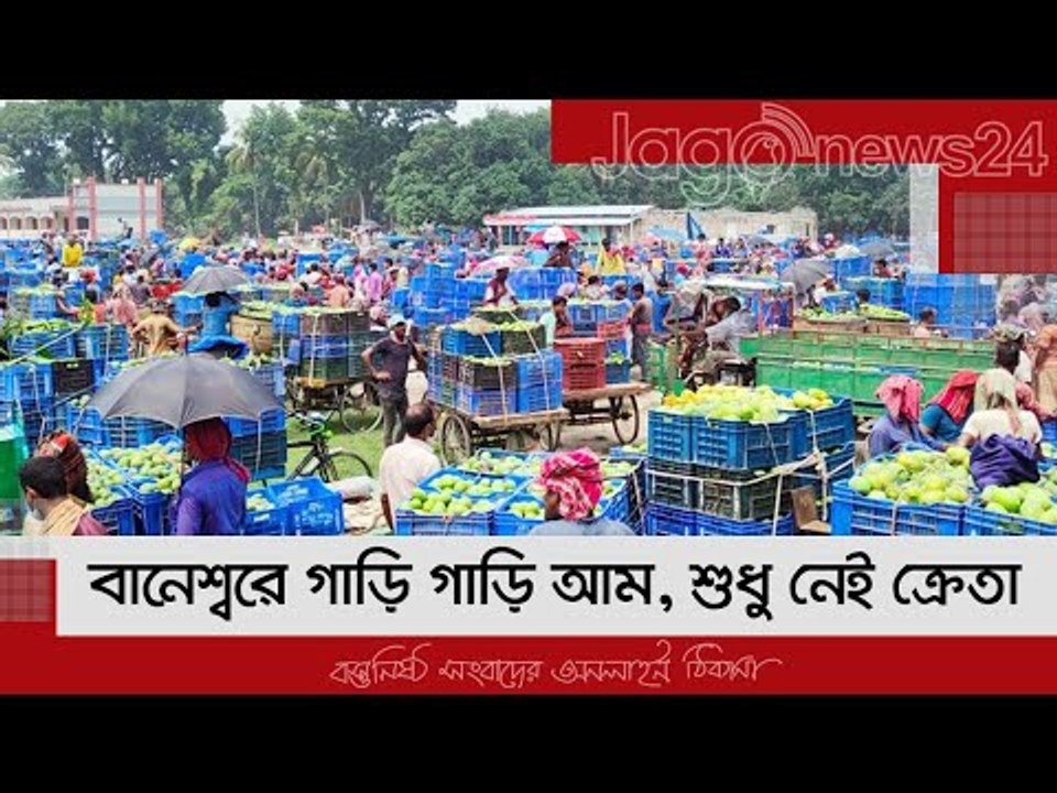 বানেশ্বরে গাড়ি গাড়ি আম, শুধু নেই ক্রেতা | Jagonews24.com