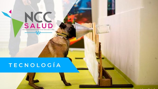 Perros adiestrados, una alternativa para detectar personas con COVID-19