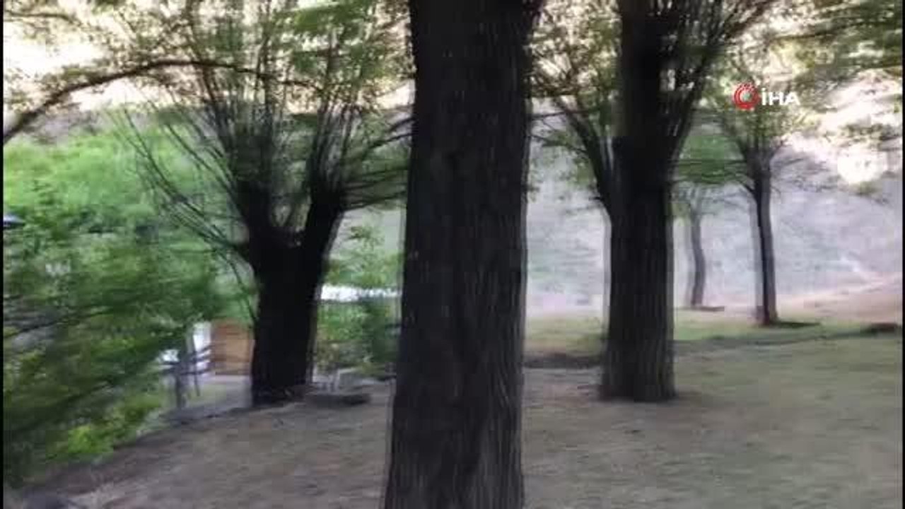 İspir'de dut hasadı