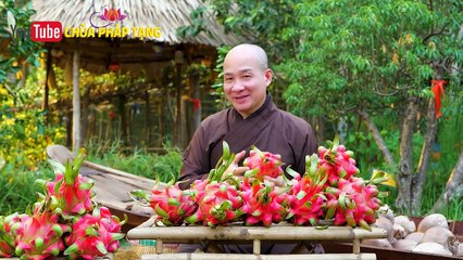 Chống Béo Phì, Dưỡng Nhan, Tan Mỡ Máu, Giảm Cân - Chống Máu Khó Đông / Reduce Cholesterol & Keep Fit