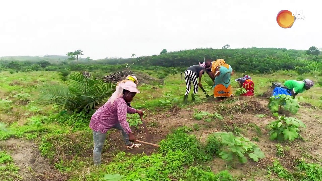 UPL_Cocoa Resilience through crop diversification.V.02