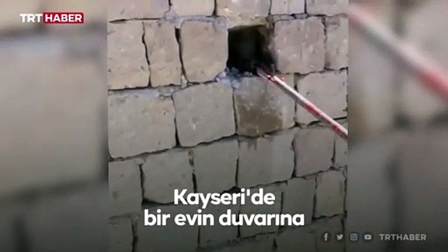 Büyükşehir itfaiyesi yılan timi: 3 metrelik yılan yakaladı