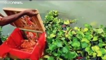 India: neonata abbandonata in una scatola nel fiume Gange