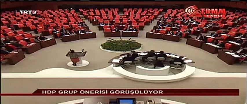 CHP İstanbul Milletvekili Selina Doğan'ndan haddini aşan sözler: Allah'tan korkmuyoruz