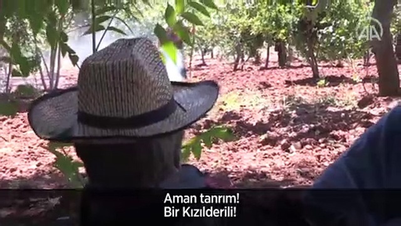 Adıyamanlı kovboyun 'Vahşi Batı' merakı gelir kapısı oldu