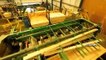 Amazing Factory Automatic Processing Wood Machine Working - Modern Woodworking Sawmill Machines