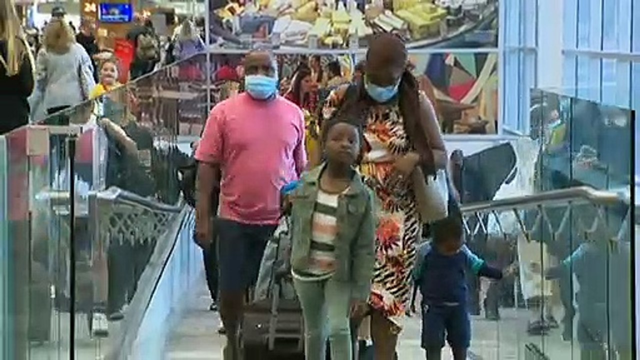 Adelaide airport deploys COVID-detecting sniffer dogs