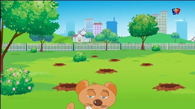 Pop Goes The Weasel chanson - comptines - chanson de la maternelle - Pop Goes The Weasel Song