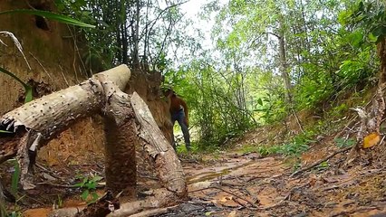 Boy Saves Komodo Dragon From Python Attack - Most Amazing Wild Animal Attack