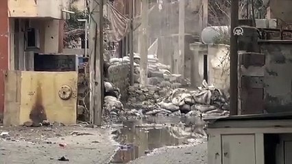 Terör engelinden Mehmetçik'e sığındılar