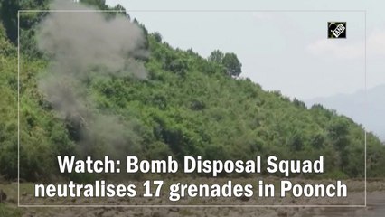 Watch: Bomb Disposal Squad neutralises 17 grenades in Poonch