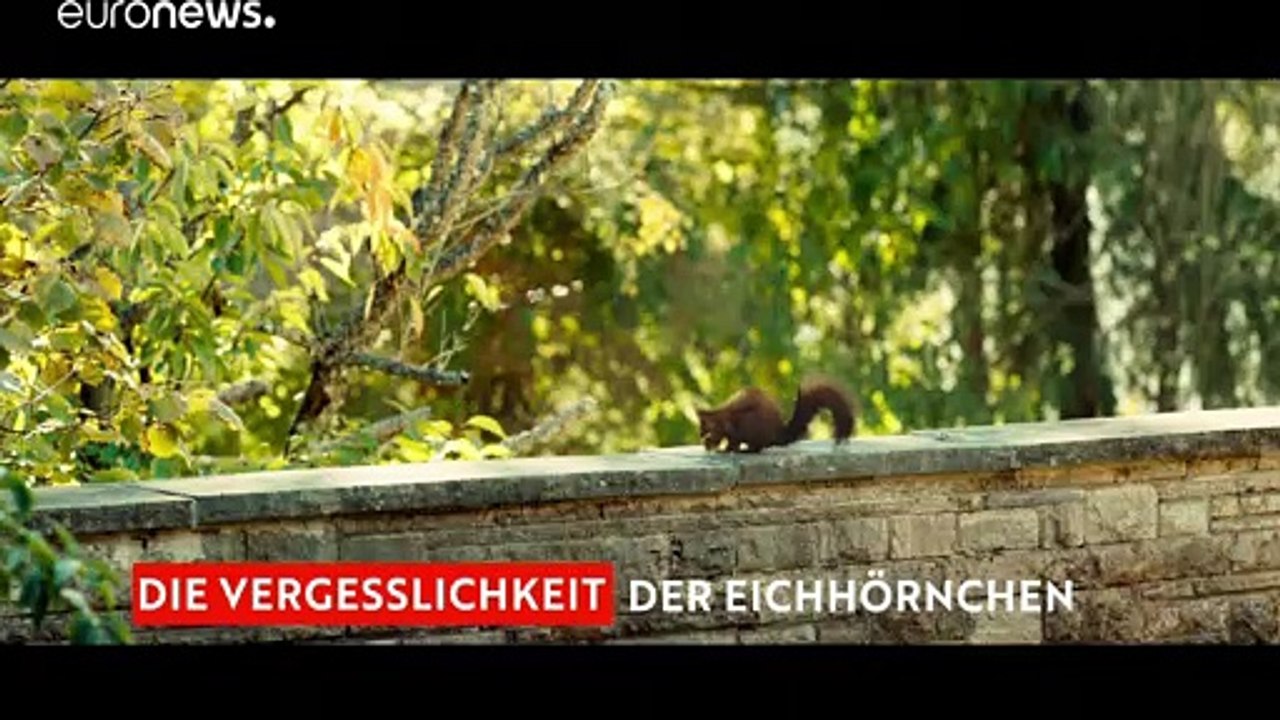 Die gute Nachricht lautet: 'Kino is back!'