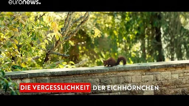Die gute Nachricht lautet: Kino is back!