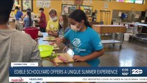 Edible Schoolyard Kern County offers a unique summer camp opportunity