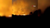 Nizip'te dağlık alanda orman yangını... Çıkan orman yangınında 200 dönüm alan kül oldu