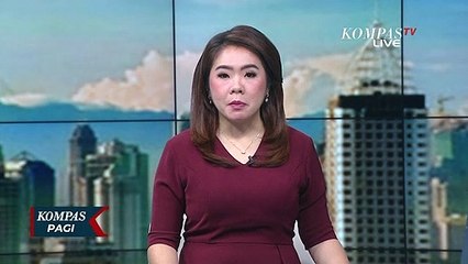 Buron 13 Tahun, Adelin Lin Tersangka Pembalakan Liar Ditangkap