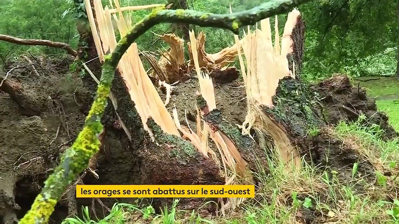 Orages dans le Sud-Ouest : des milliers de foyers privés de courant, des dizaines de personnes évacuées, un enfant de 3 ans blessé