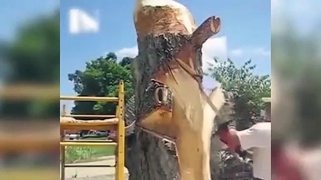 Çürümeye terk edilen ağaçtan sanat eseri yaptı